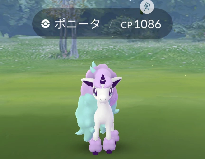 五条 椿