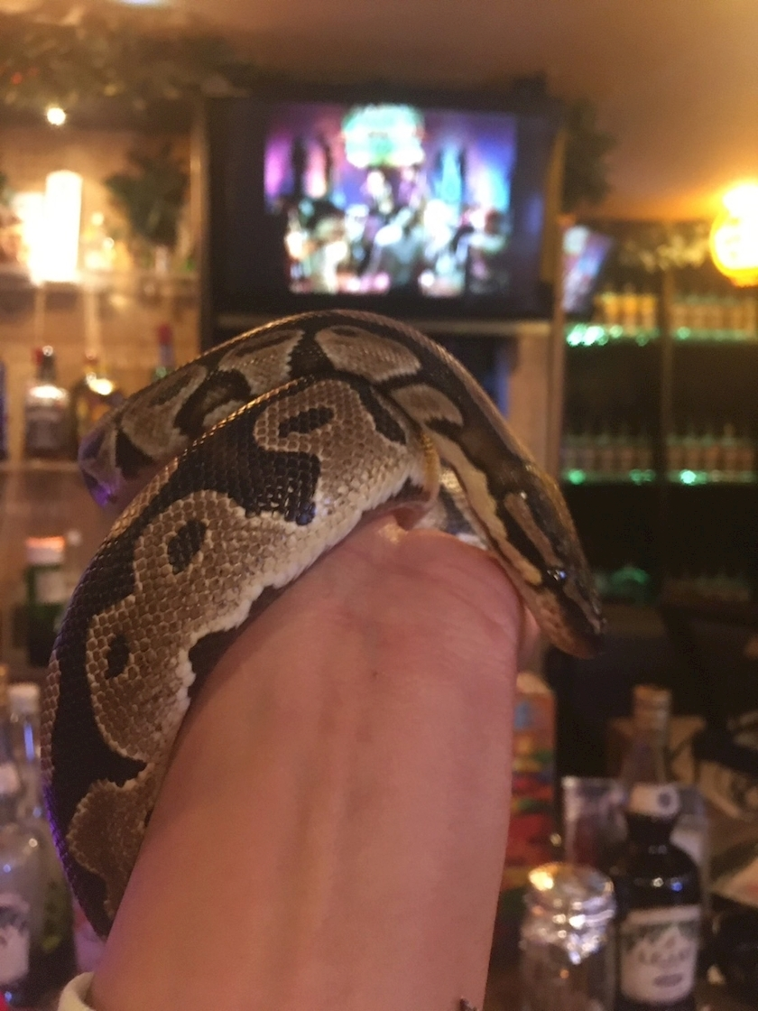 涼風 あき