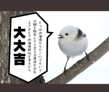 ひな