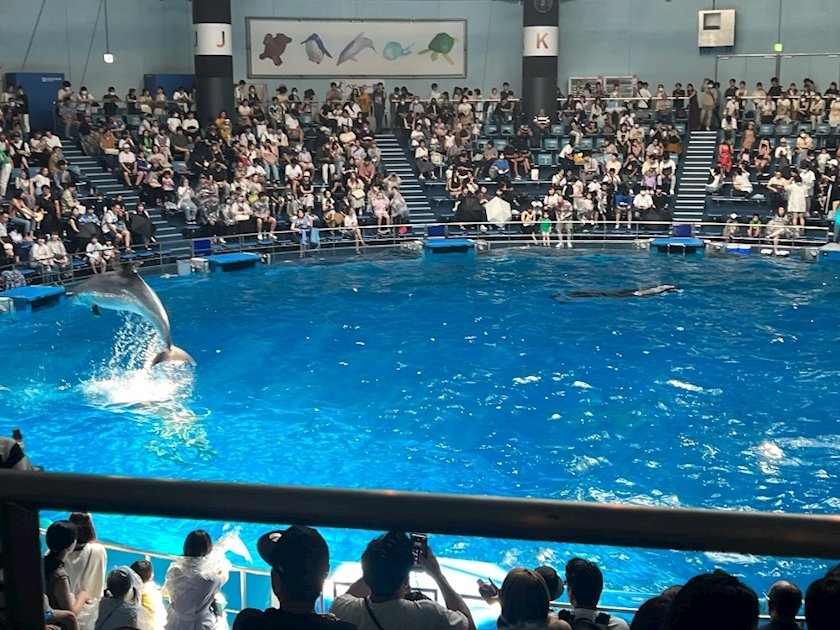 みき