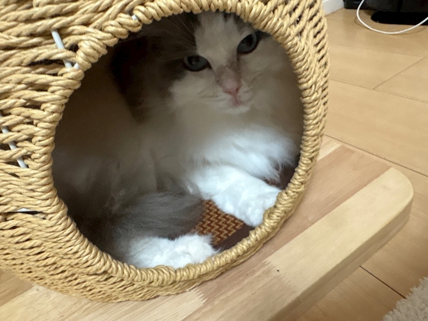 辻 みなみ
