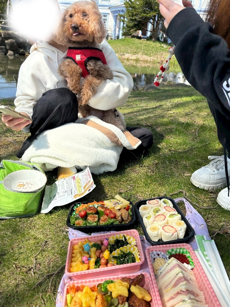 佐倉 里緒