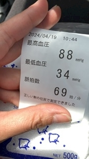 渚 みどり