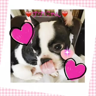 妃 えりか
