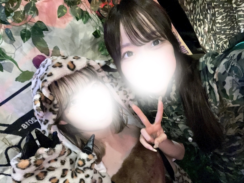 ここ