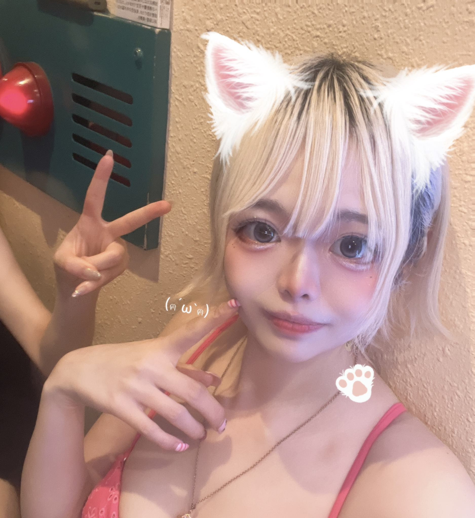 いろは