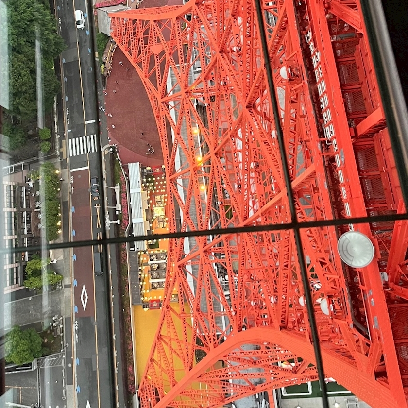ミイ