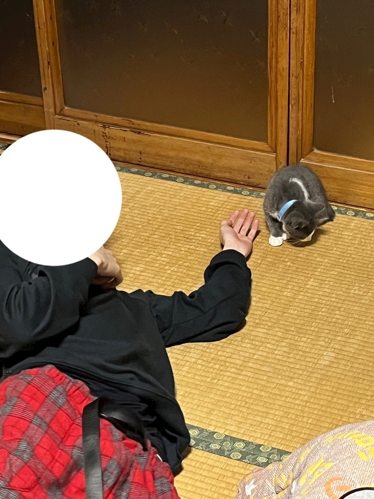 なぎ