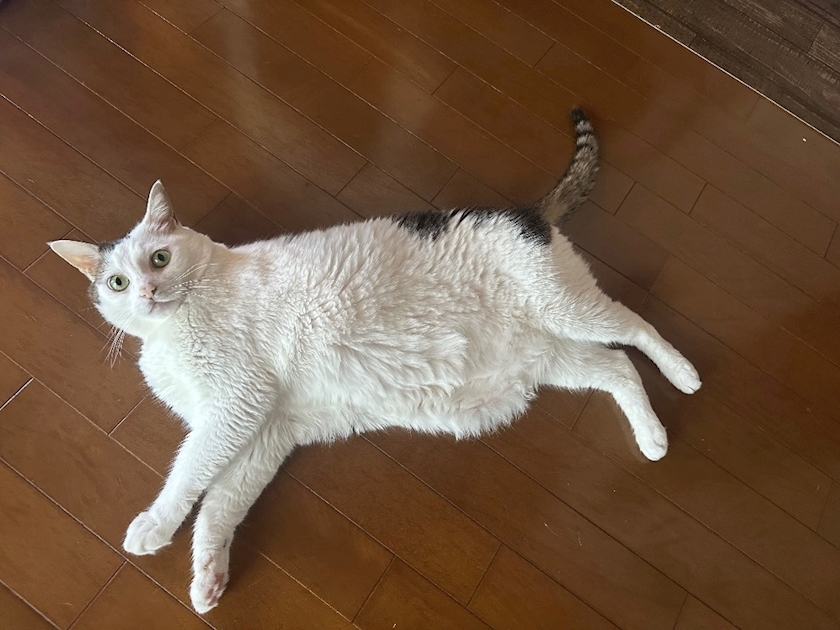峰 かんな