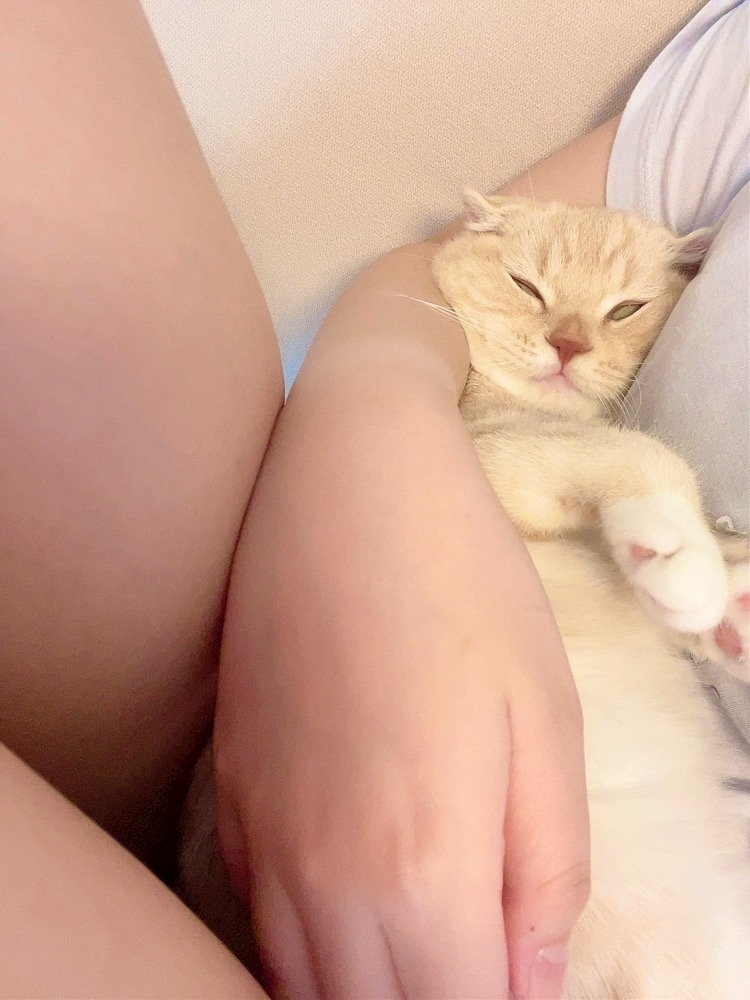 あおい
