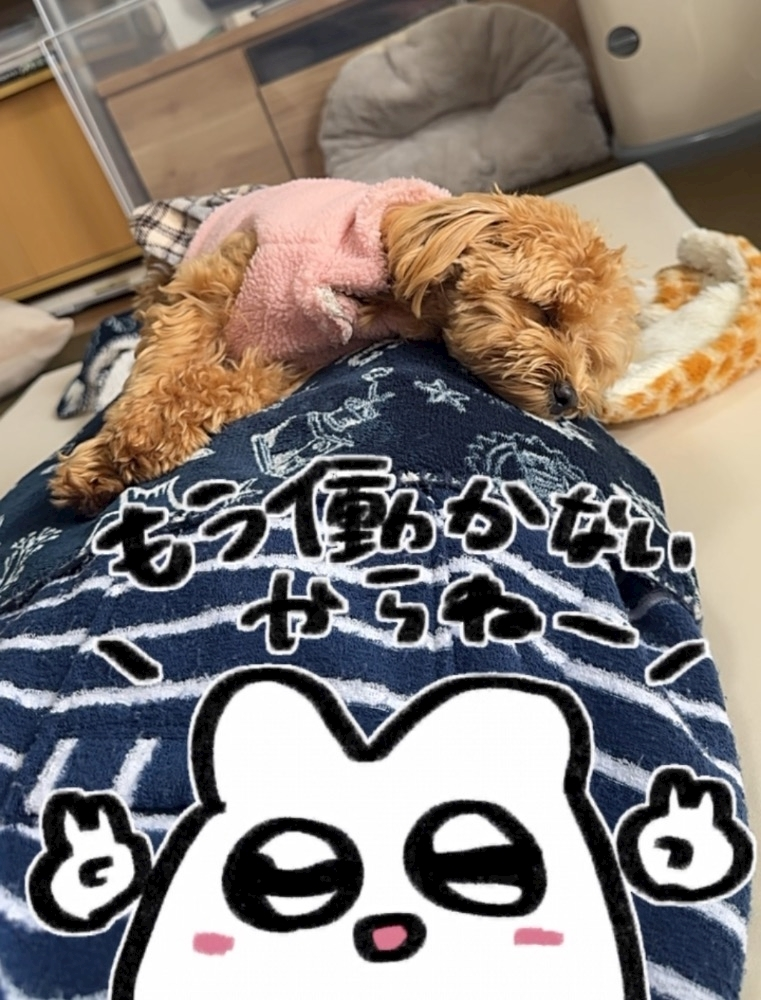たむ