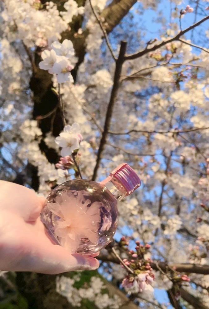 朝比奈 みく