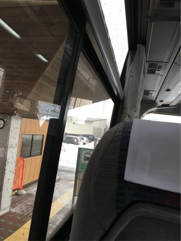 蓮見 リア