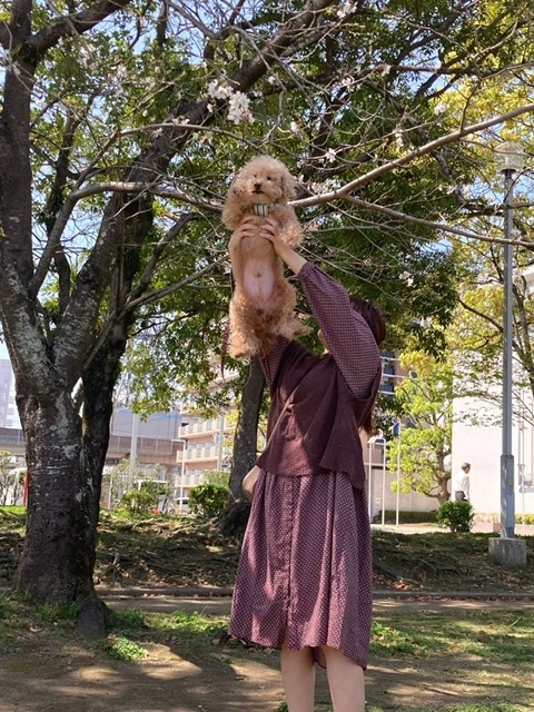 しおり