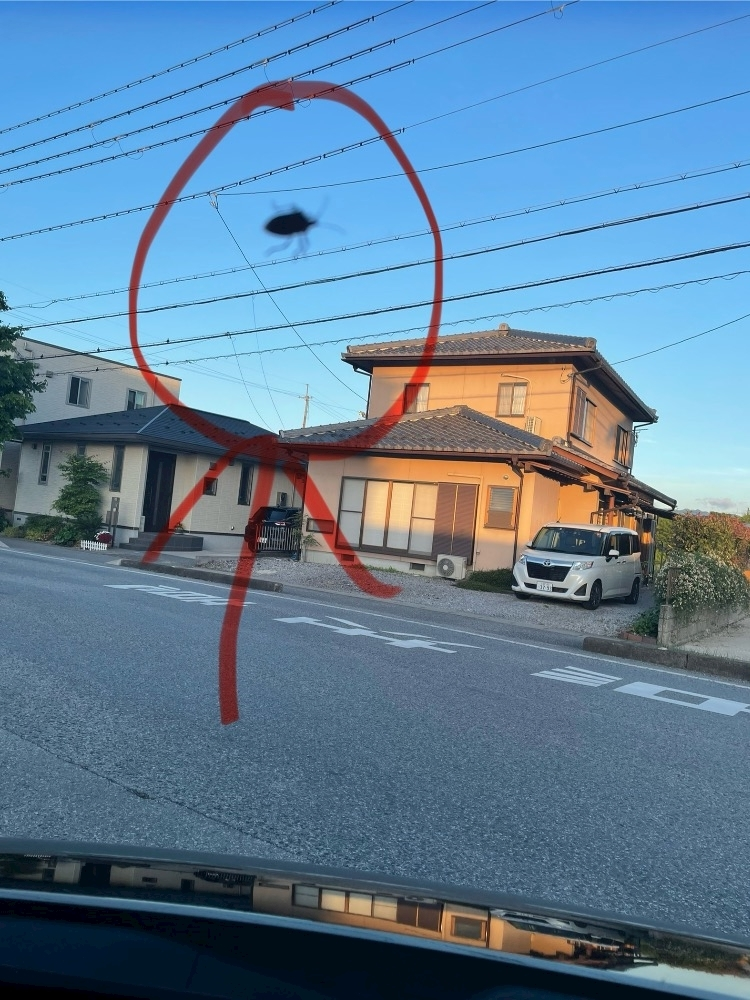ゆか