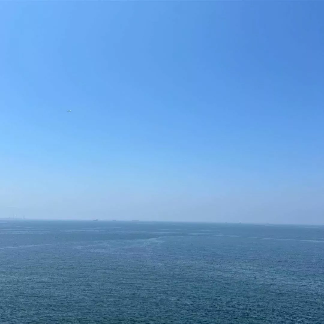 マユ