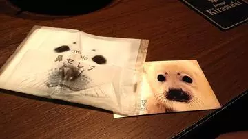 ひな