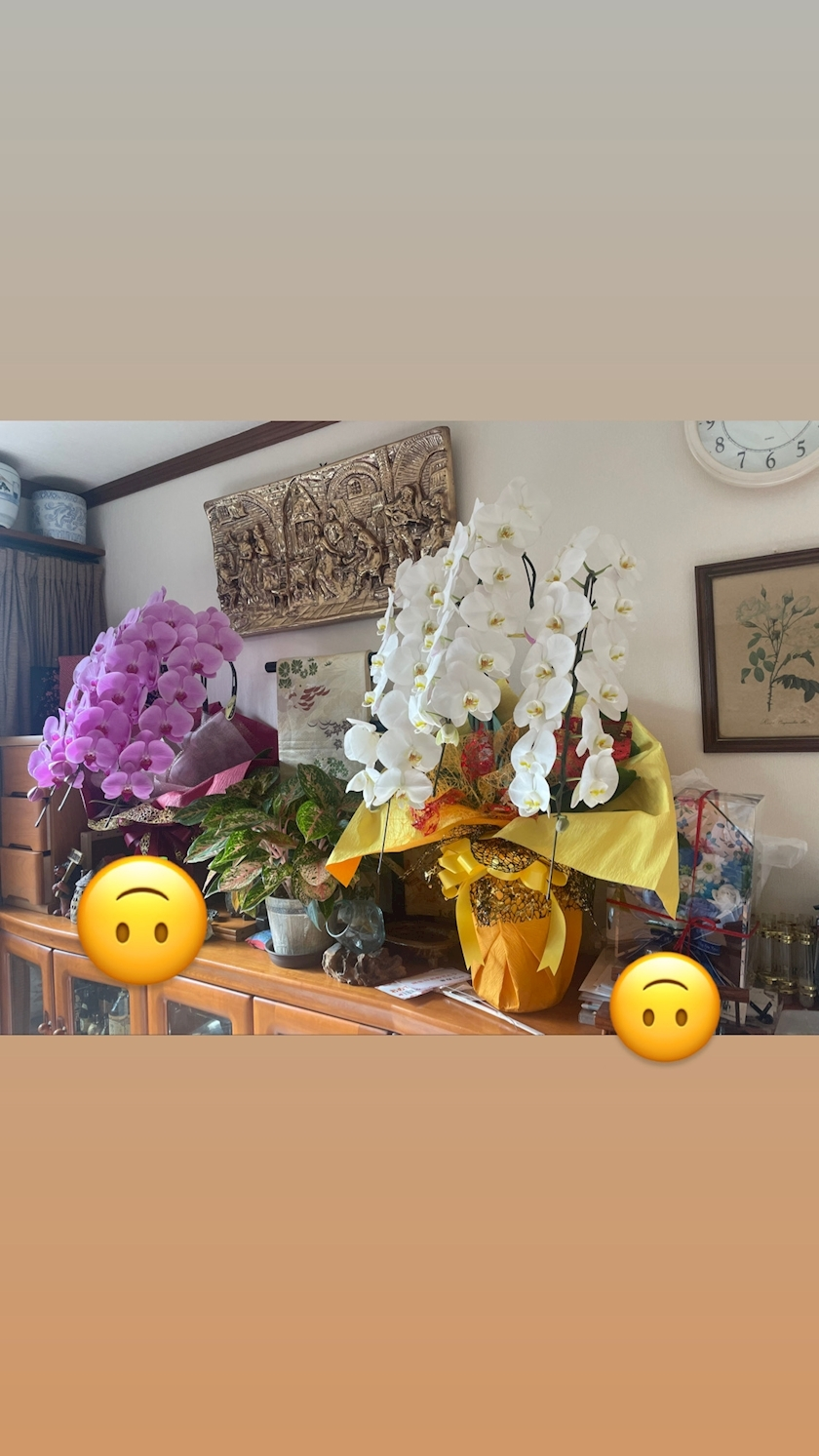 美月