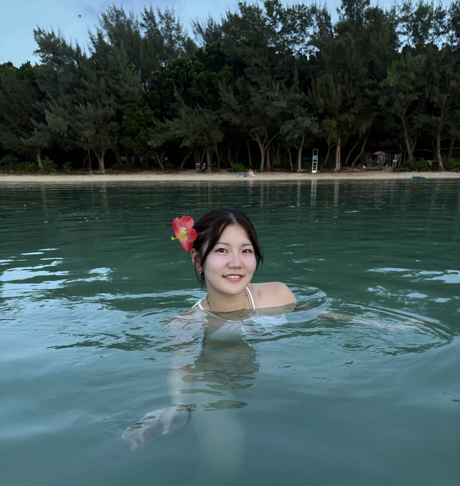 立花 咲