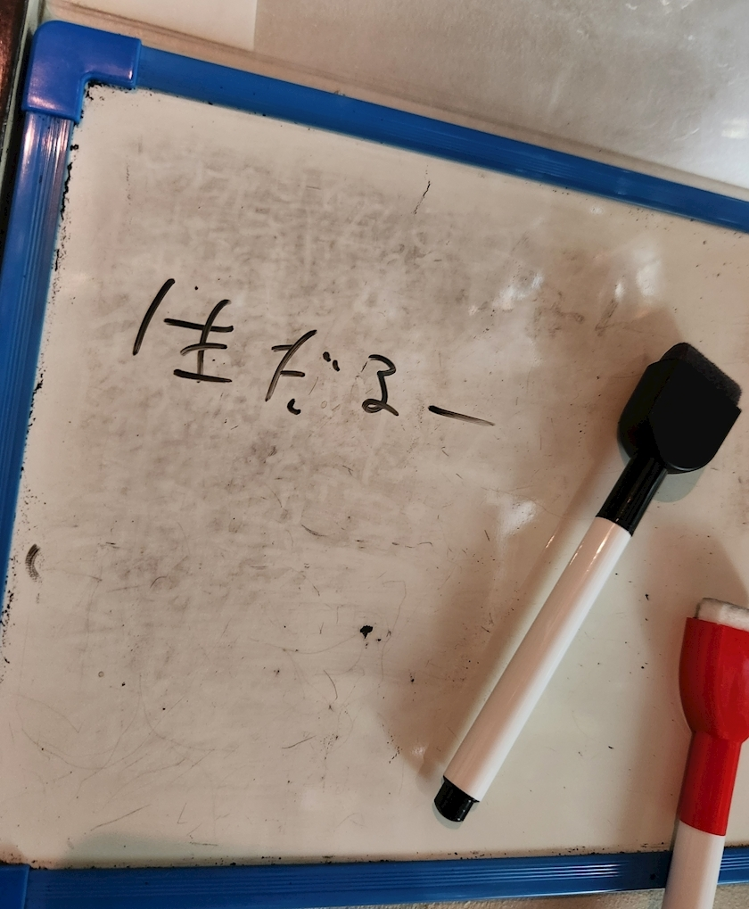 紫音
