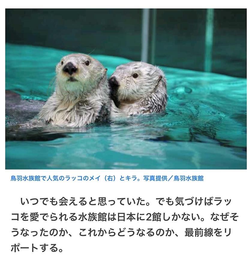 朝倉 しおり
