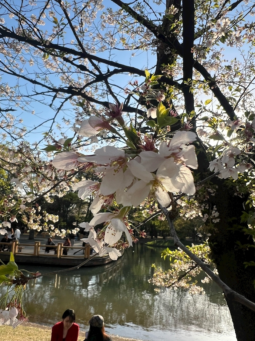 かんな