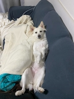 京 さゆみ