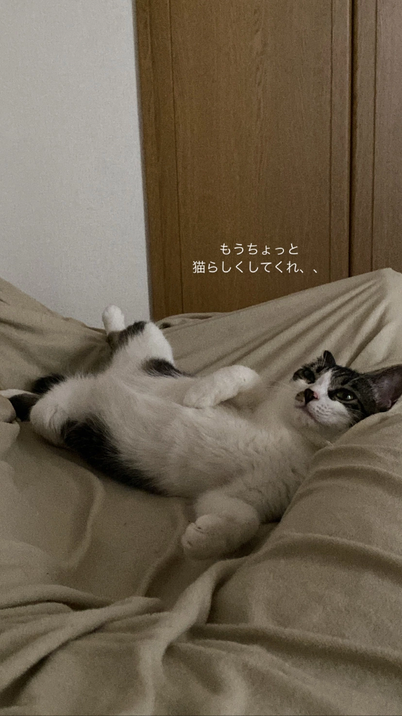 あきら