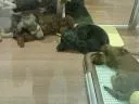 藤沢 のん
