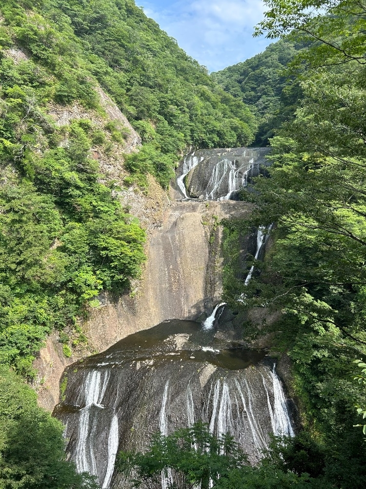 ふうか