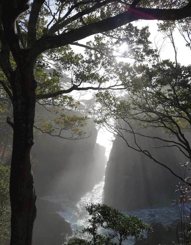市杵島 みなこ