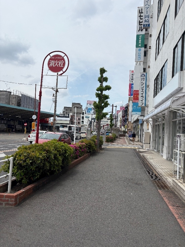 妃 りり