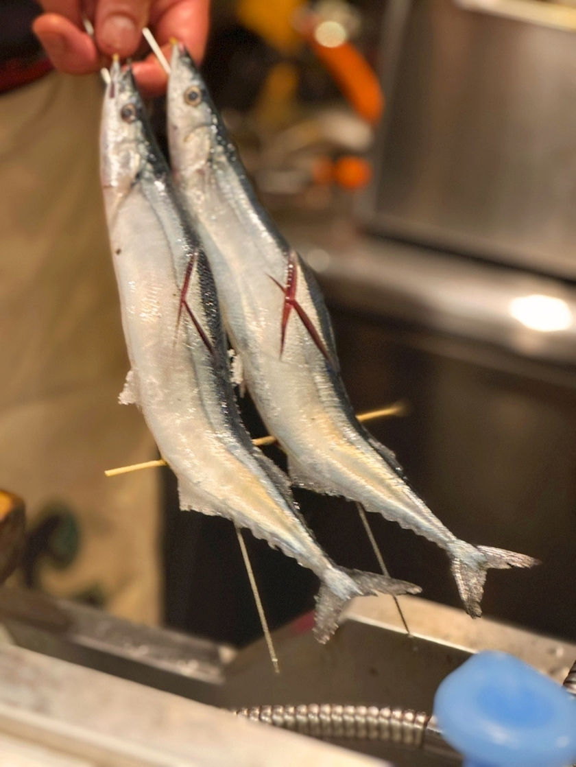 日向 夏南