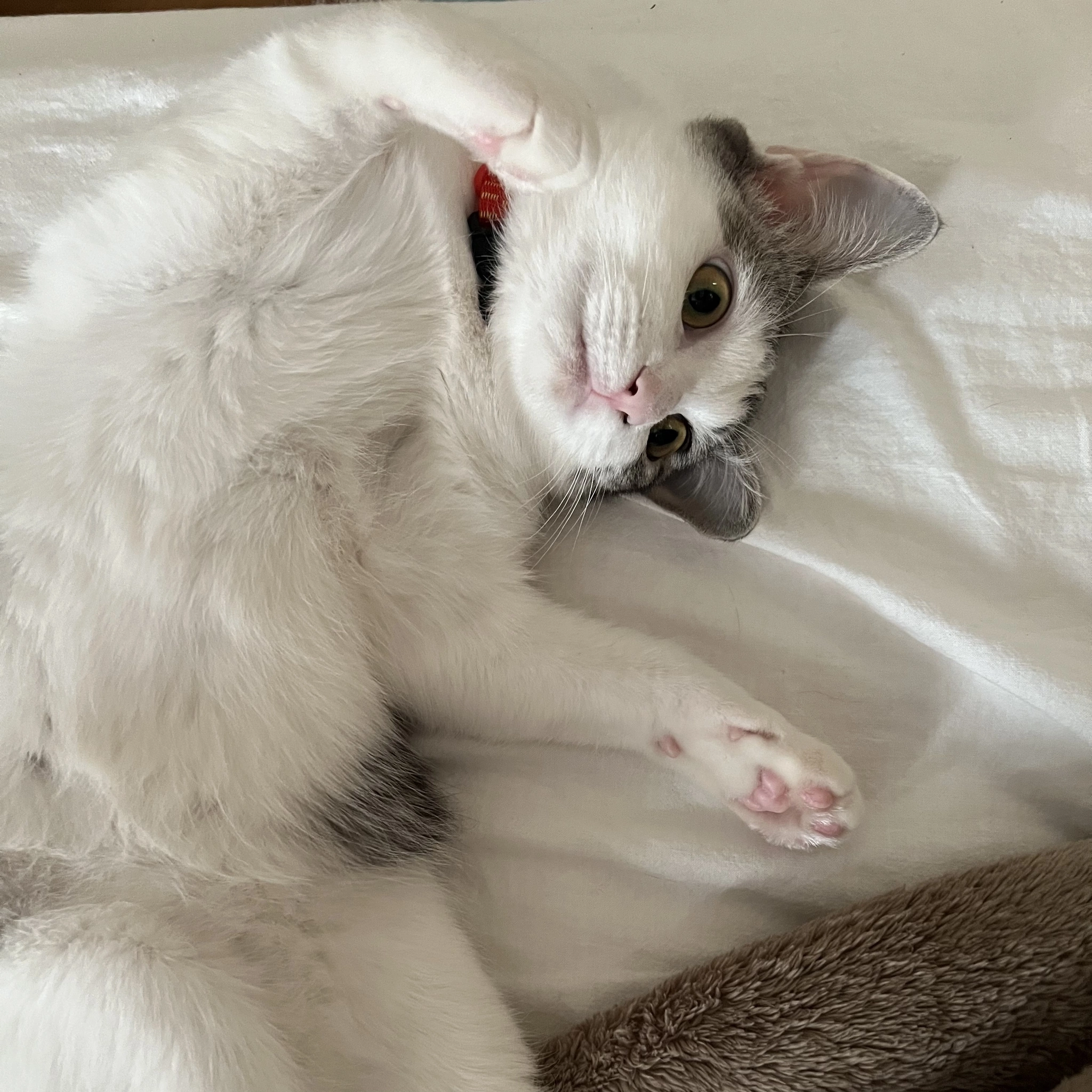 とあ