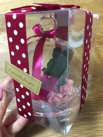 白石 愛莉