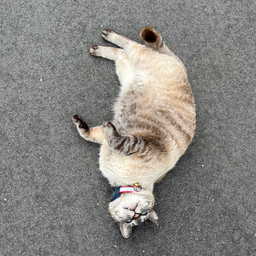 あず