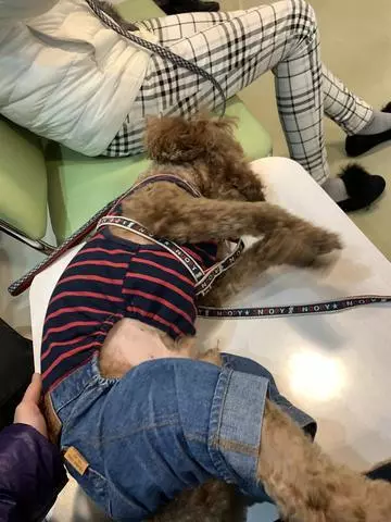 如月 凛
