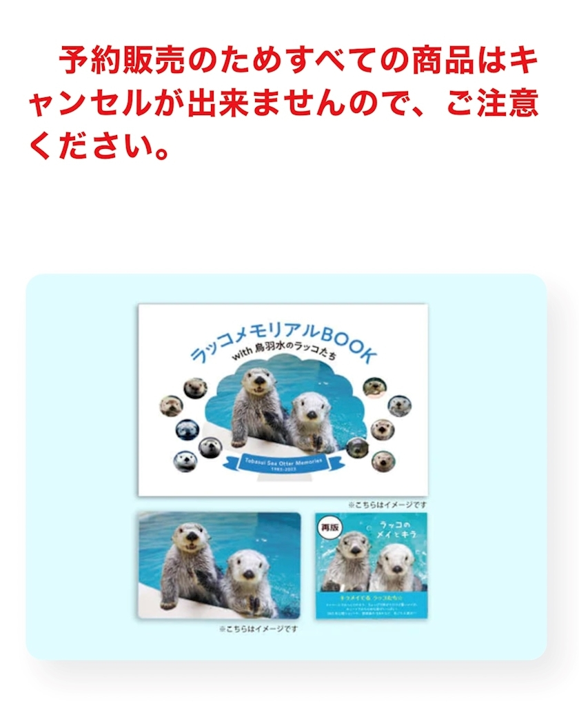 緑 四葉
