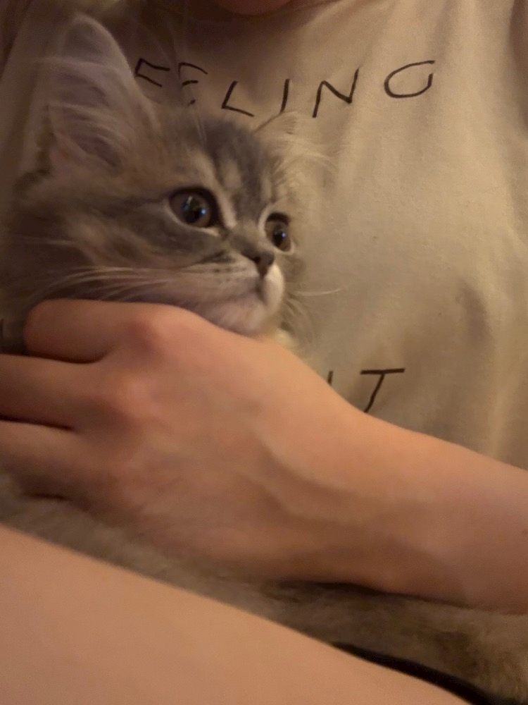 ミヅキ