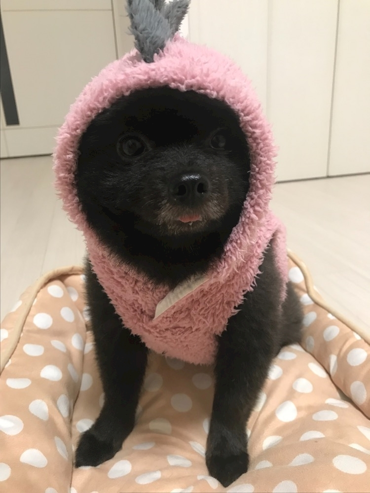 ティナ
