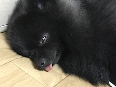 ティナ