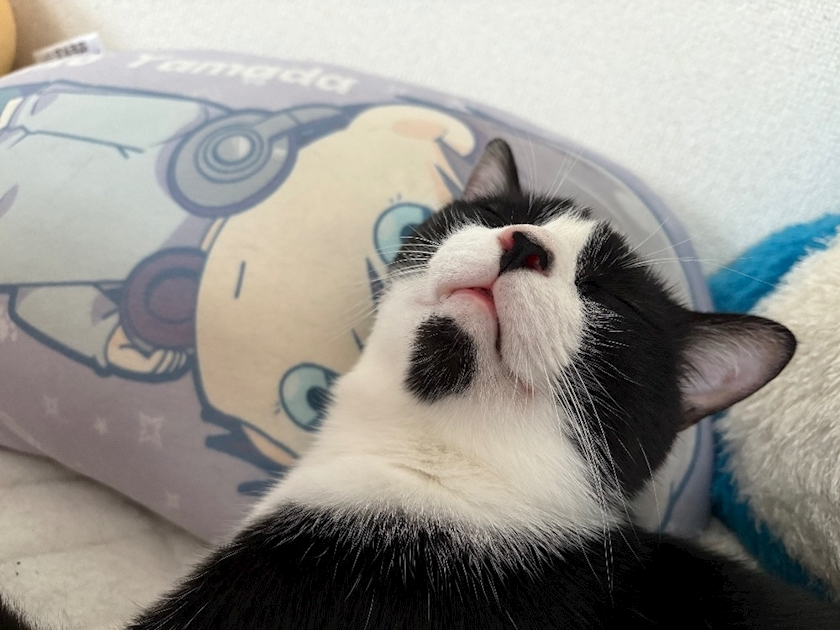 サキ