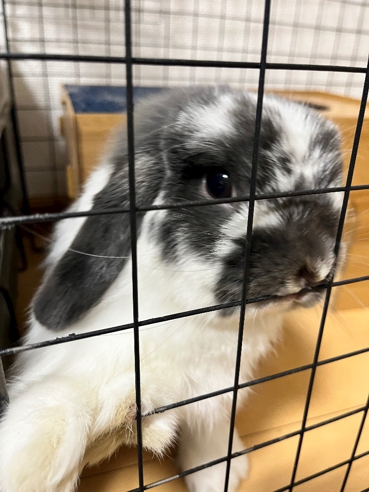 高槻 かえで