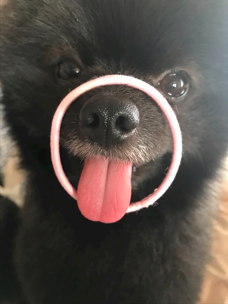 ティナ