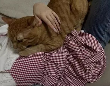 神永 莉聖