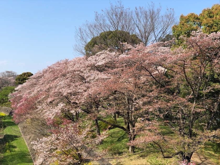 あいか