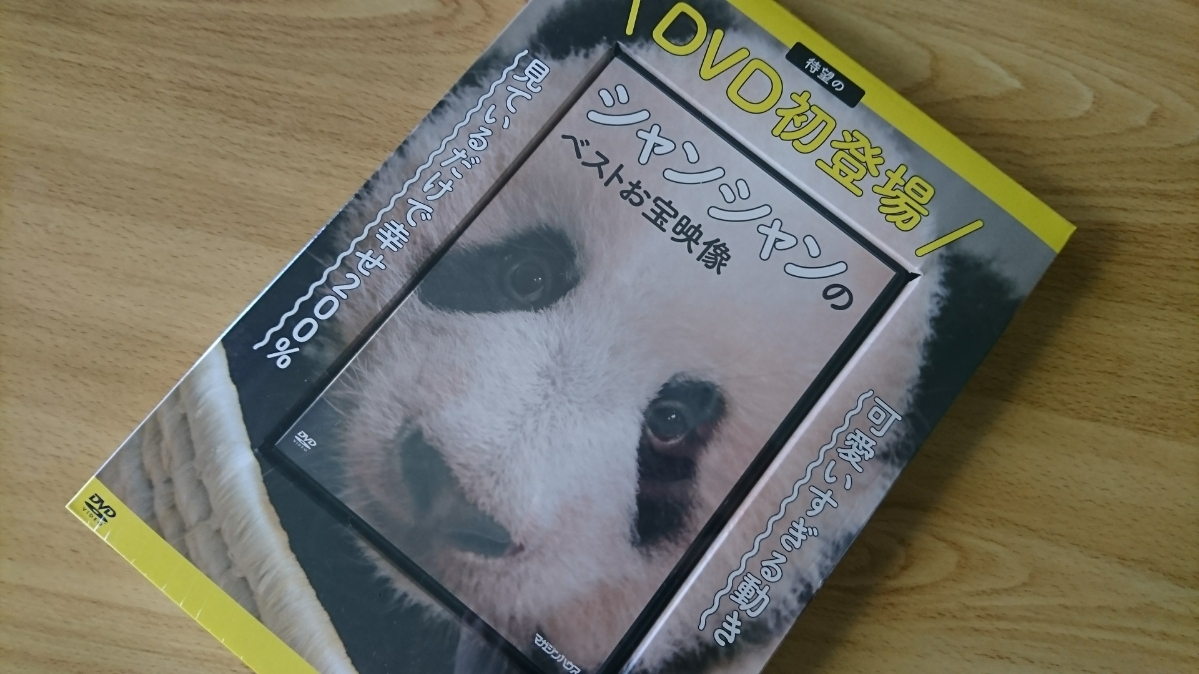 五条 椿