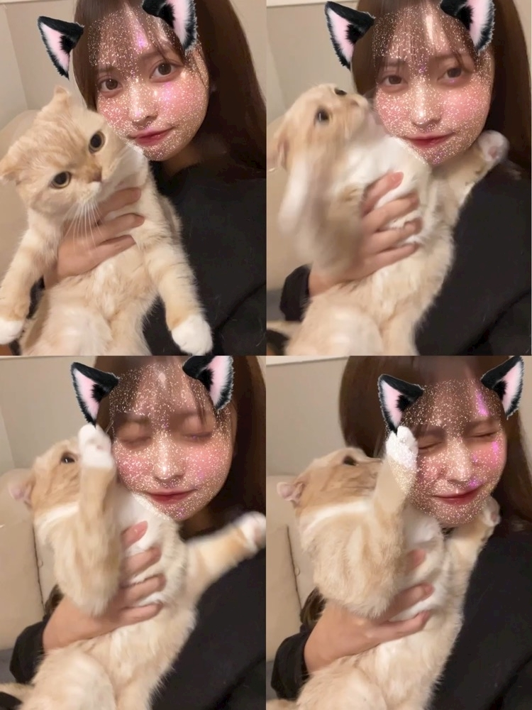 あおい