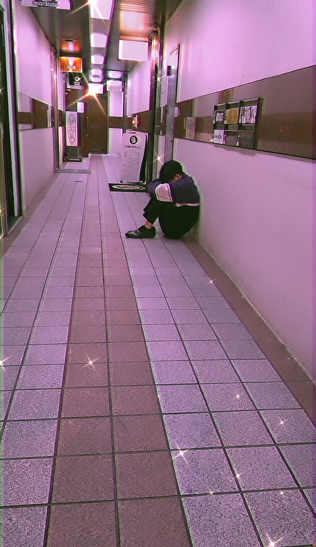 しゃも