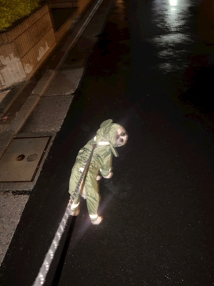 ミカ